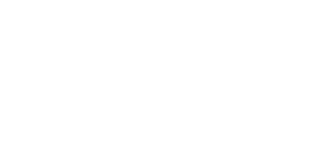 Dance Sensation Logo